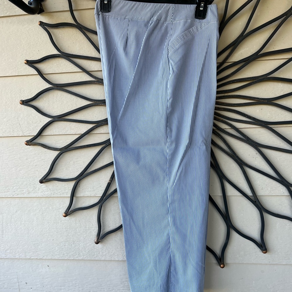 Kim Rogers women’s Light Blue Pinstripe Pants